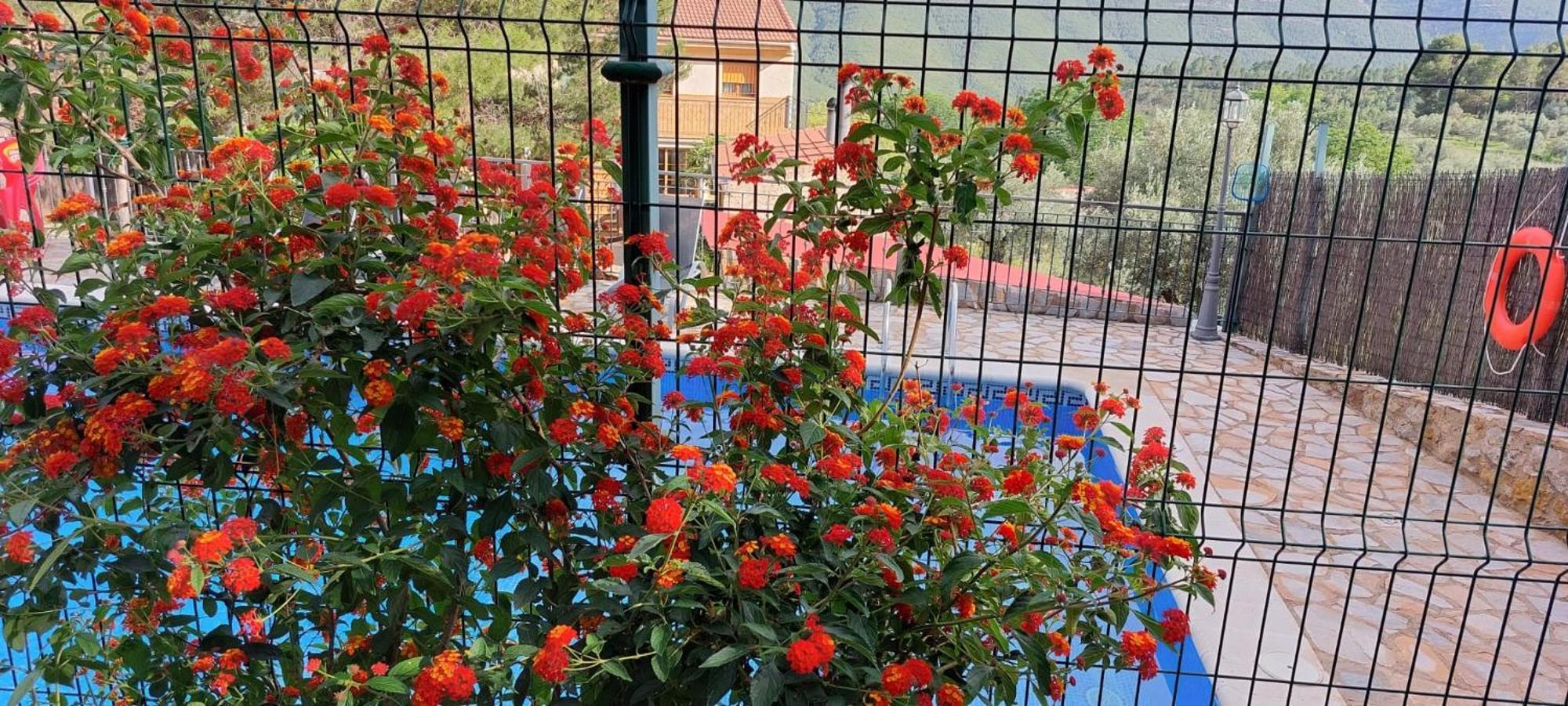 Casas Rurales Cerro Lobo Yeste Eksteriør billede